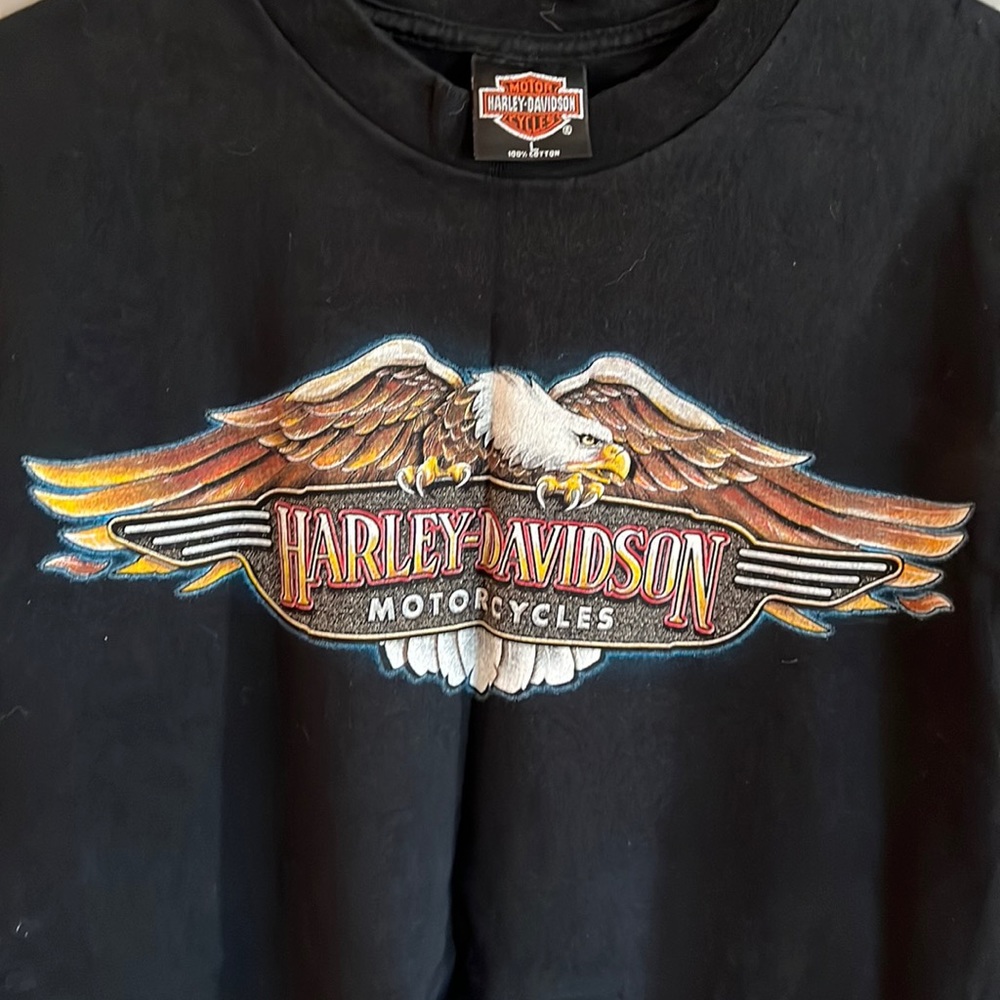 Vintage Harley-Davidson T-shirt, size large, EUC Savannah. smoke free home.